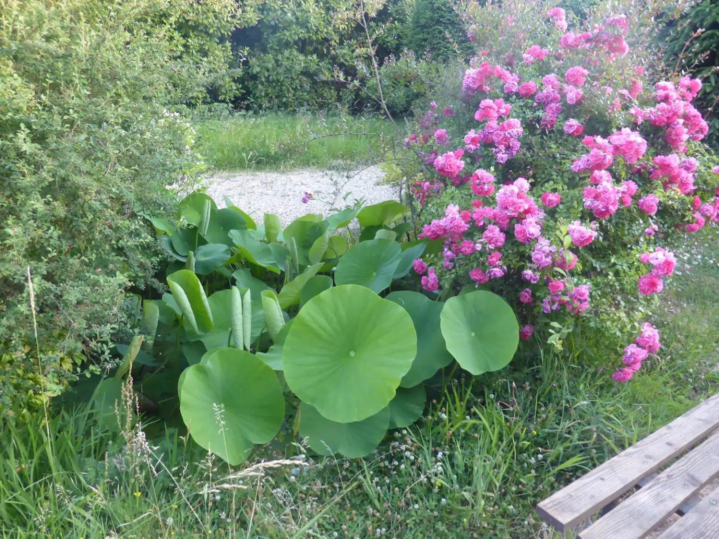 La Maison De L'Ecolieu Du Turc - Piscine Partagee Le Mas-dʼAgenais Zewnętrze zdjęcie